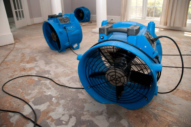 Best 24-hour water damage restoration  in Munford, AL