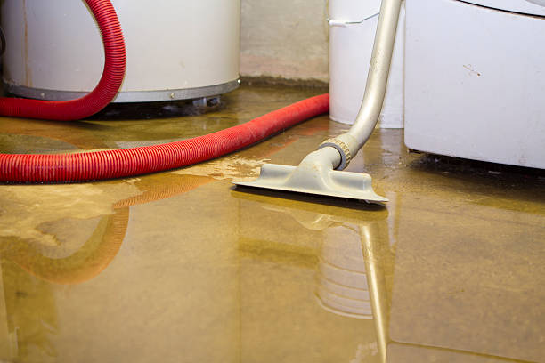  Munford, AL Water damage restoration Pros