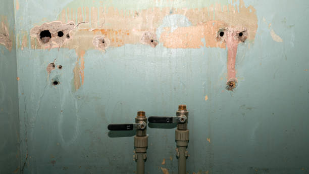 Best Water damage restoration near me  in Munford, AL