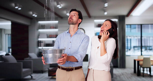 Best Water damage repair service  in Munford, AL