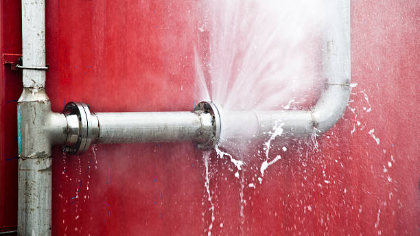 Best 24-hour water damage restoration  in Munford, AL
